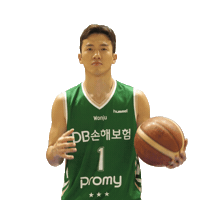dbins 원주db dbpromy Sticker
