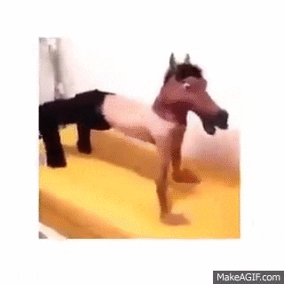 horseback GIF
