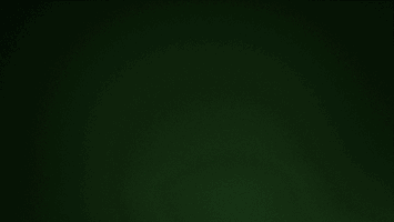 joevin jones soccer GIF by Seattle Sounders