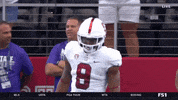 gostanford  GIF