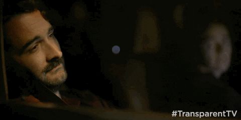 season 3 GIF by Transparent