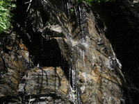 Impressum GIF by FranchiseONE.de