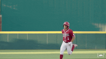 Celebrate Lets Go GIF by Arkansas Razorbacks