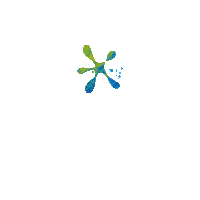 Laundry Detergent Sticker by OMO South Africa