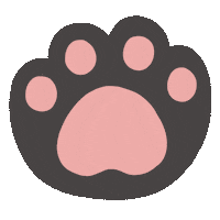 Black Cat Sticker