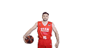 Liga Endesa Basketball Sticker by ACB
