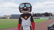 KC_Ballers baseball cheers yay clap GIF