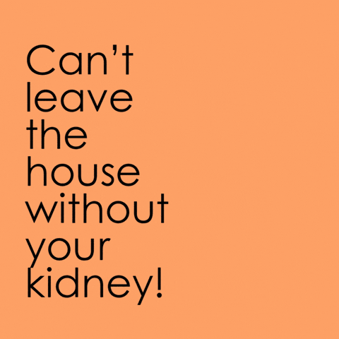 Anatomy Plushie GIF by I Heart Guts