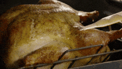 turkey time GIF