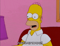 homer simpson GIF