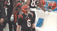 National Football League GIF by NFL