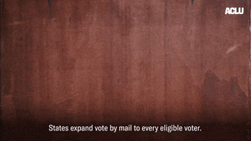 How the Gov't Can Properly Address "Vote By Mail"