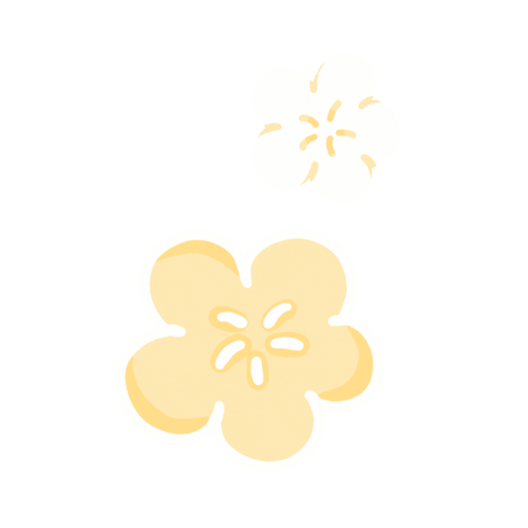 simokuai giphyupload flower simokuai 煙花 Sticker