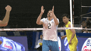 Happy Celebration GIF by Volleyball World