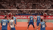 Happy Celebration GIF by Volleyball World