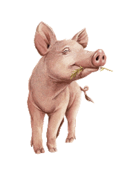 kevin bacon Sticker by The Grounds