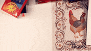 GIF by Film School Shorts