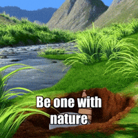 GIF by Chillo Dillo
