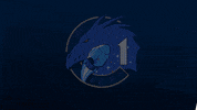Astronaut GIF by NASA