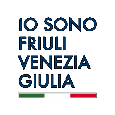 Fabriziononis giphygifmaker fvg friuli iosonofvg Sticker