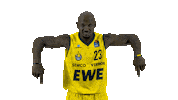 Ewe Baskets Basketball Sticker by EWE Baskets Oldenburg