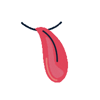 Noswnosmccafe Sticker by McDonald's Polska