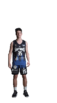 LagunaSharks sport basketball shark romania Sticker
