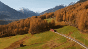 on my way autumn GIF by Tirol
