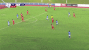 Young Lions Football GIF by 1 Play Sports