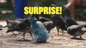 Pop Up Surprise GIF by JoinZuzu