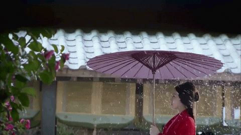crowndrama aesthetic cdrama liu shi shi winter umbrella GIF