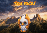 Phoenix Expressions GIF