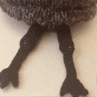 Big Bird GIF by TeaCosyFolk