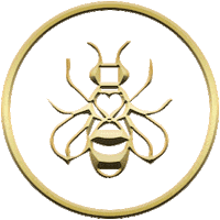 APISCERA candles beeswax apiscera apis cera Sticker
