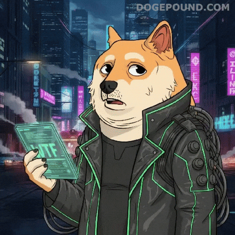 What Is This Omg GIF by Doge Pound