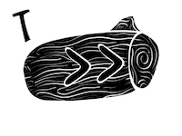 Arrow Camping Sticker