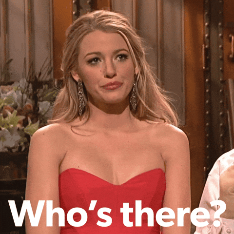 Wait What Hello GIF by Blake Lively Fan