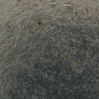 Northern White Rhino Heartbeat GIF by San Diego Zoo