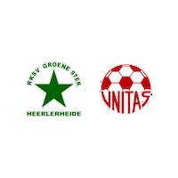Sport Heerlen Sticker by Groene ster