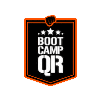 Bootcamp Quebreasregras Sticker by Instituto QR
