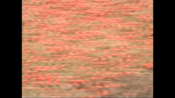 The Best Is Yet To Come Sisters GIF by Hunter Daily