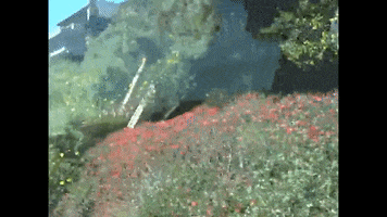 The Best Is Yet To Come Sisters GIF by Hunter Daily