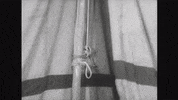 Art Video GIF by jorgemariozuleta