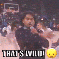 Taylor Swift Nuts GIF by Ashwin Gane