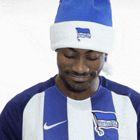 berlin bundesliga GIF by Hertha BSC