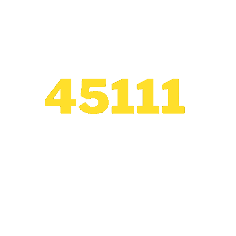 roselideluccapizzolo giphyupload vote brasil mulher Sticker