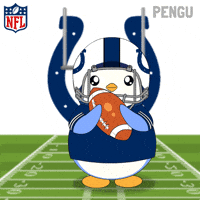 Touch Down Super Bowl GIF by Pudgy Penguins