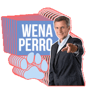 Las Condes Dog Sticker by Gonzalo de la Carrera