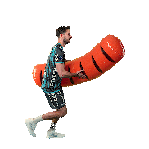 Sport Celebration Sticker by SWD Powervolleys Düren