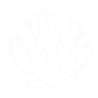 Shell Sticker by Nalani Ocean Studio